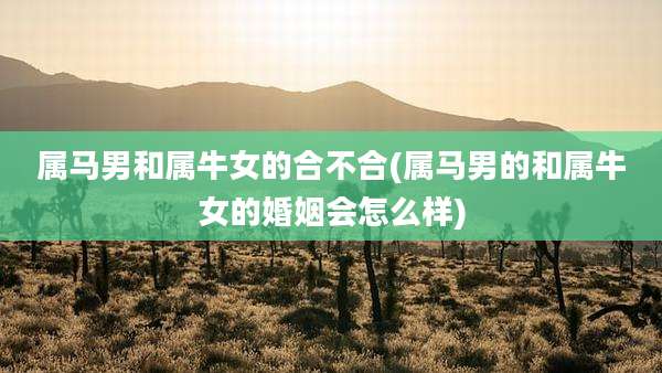 属马男和属牛女的合不合(属马男的和属牛女的婚姻会怎么样)