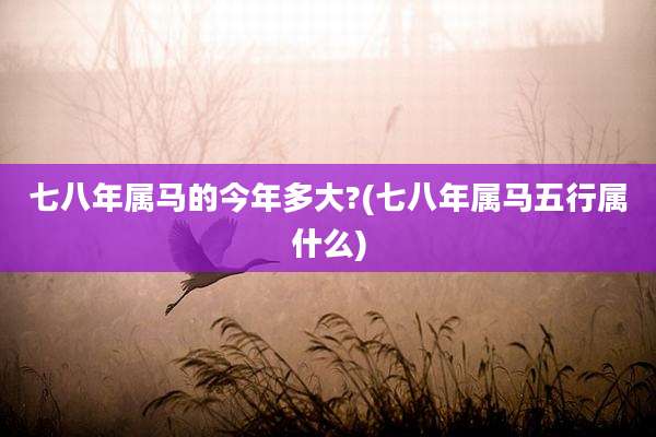 七八年属马的今年多大?(七八年属马五行属什么)