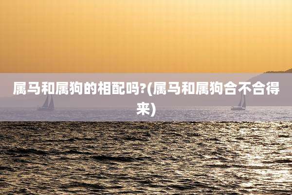 属马和属狗的相配吗?(属马和属狗合不合得来)