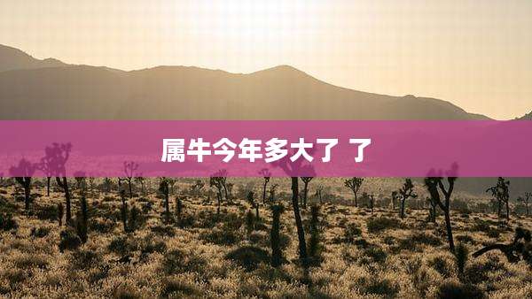 属牛今年多大了 了