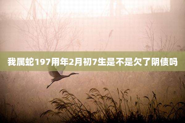 我属蛇197用年2月初7生是不是欠了阴债吗