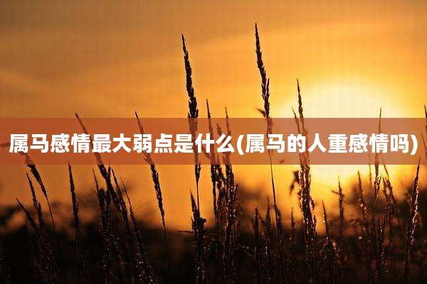 属马感情最大弱点是什么(属马的人重感情吗)