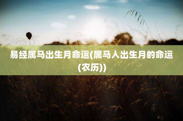 易经属马出生月命运(属马人出生月的命运(农历))