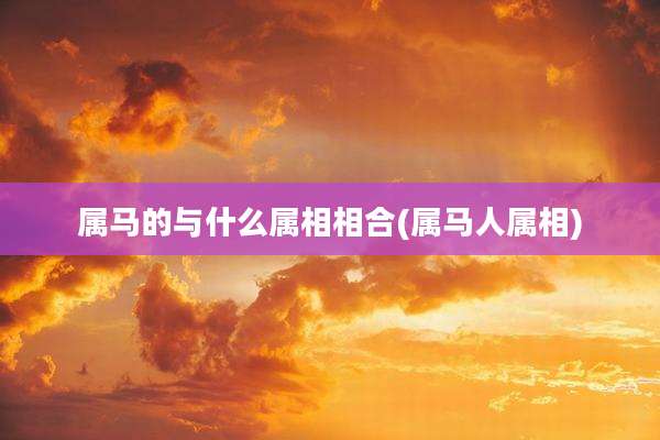 属马的与什么属相相合(属马人属相)