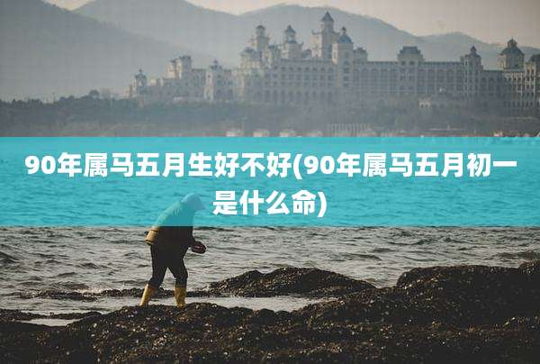 90年属马五月生好不好(90年属马五月初一是什么命)