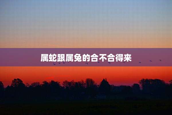 属蛇跟属兔的合不合得来