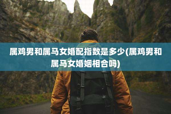 属鸡男和属马女婚配指数是多少(属鸡男和属马女婚姻相合吗)