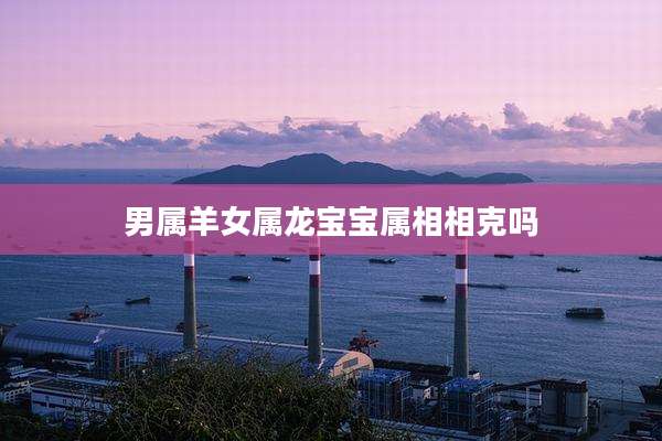 男属羊女属龙宝宝属相相克吗