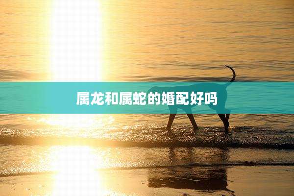 属龙和属蛇的婚配好吗