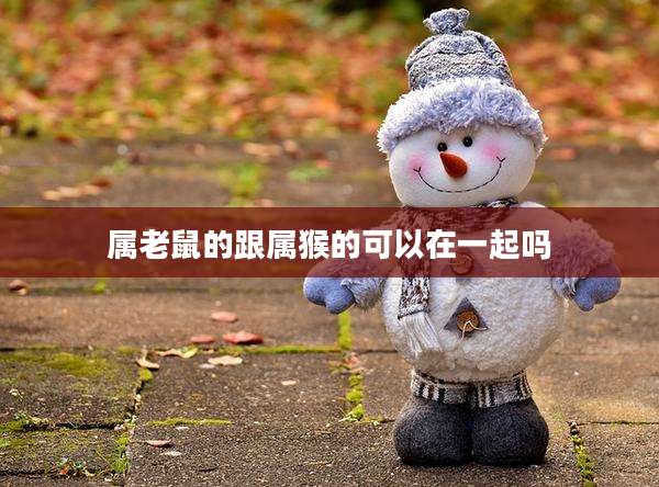 属老鼠的跟属猴的可以在一起吗