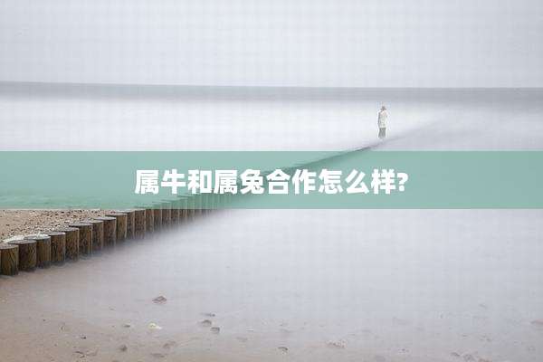 属牛和属兔合作怎么样?