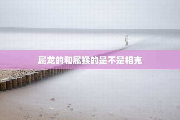 属龙的和属猴的是不是相克