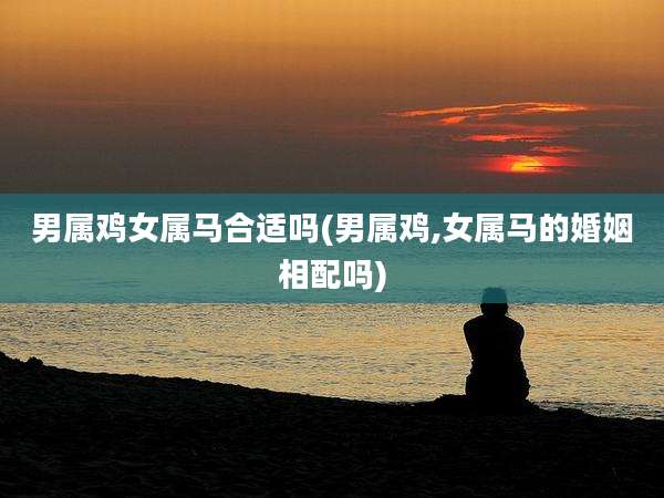 男属鸡女属马合适吗(男属鸡,女属马的婚姻相配吗)