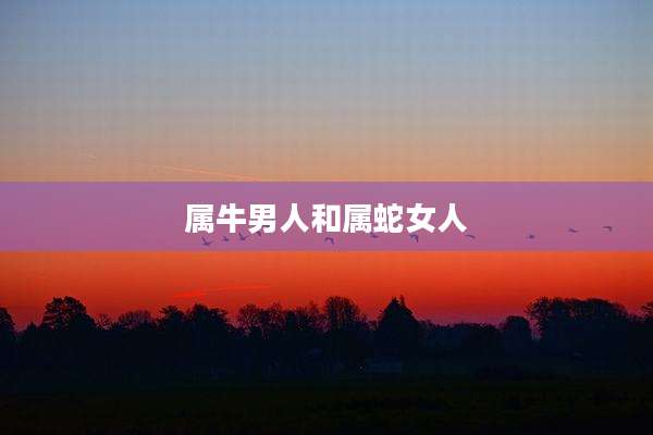 属牛男人和属蛇女人