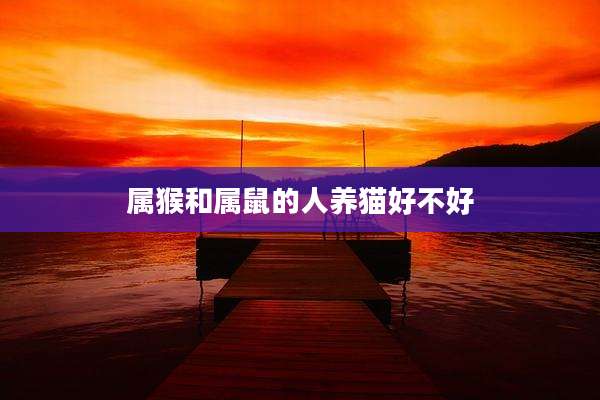 属猴和属鼠的人养猫好不好