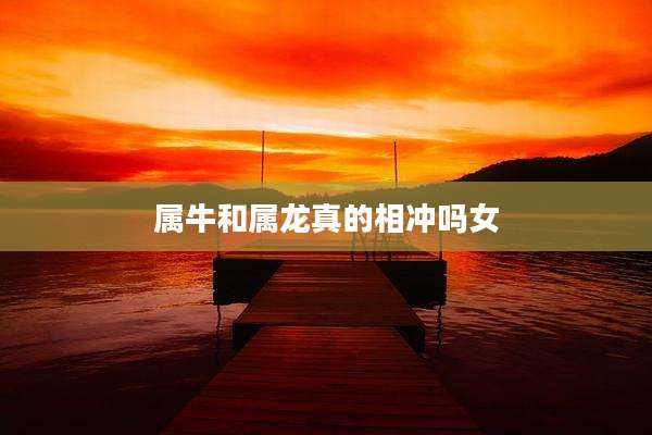 属牛和属龙真的相冲吗女