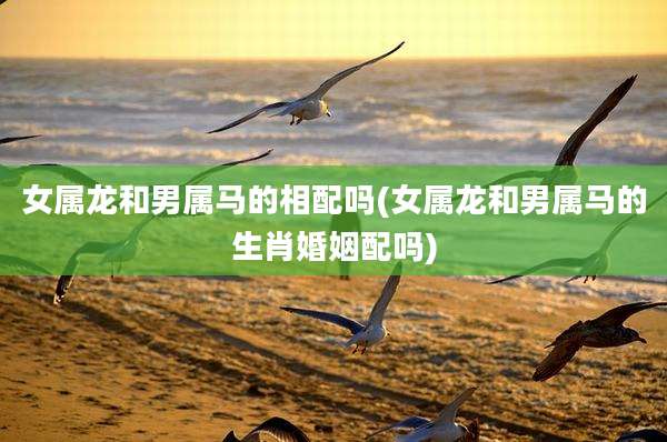 女属龙和男属马的相配吗(女属龙和男属马的生肖婚姻配吗)