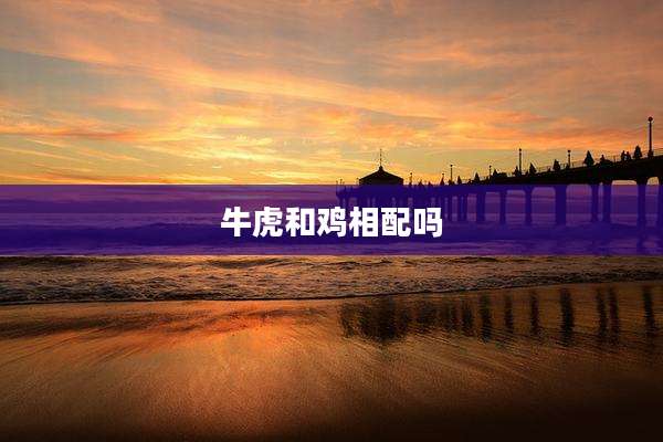 牛虎和鸡相配吗
