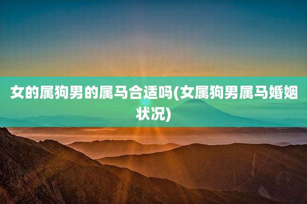 女的属狗男的属马合适吗(女属狗男属马婚姻状况)
