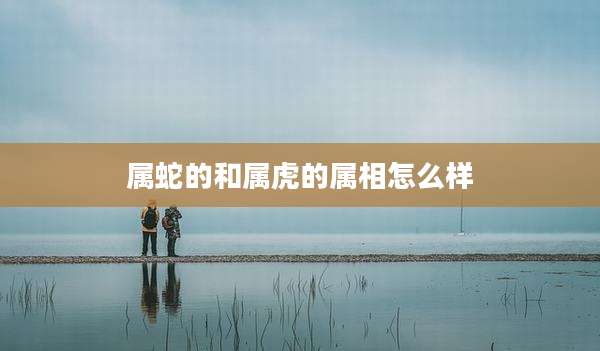 属蛇的和属虎的属相怎么样