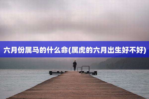 六月份属马的什么命(属虎的六月出生好不好)