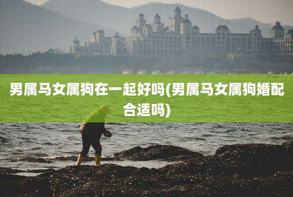 男属马女属狗在一起好吗(男属马女属狗婚配合适吗)