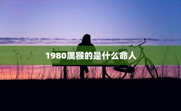 1980属猴的是什么命人