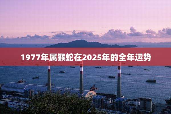 1977年属猴蛇在2025年的全年运势