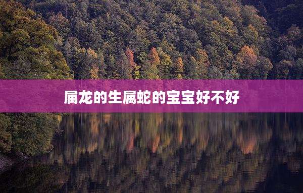 属龙的生属蛇的宝宝好不好