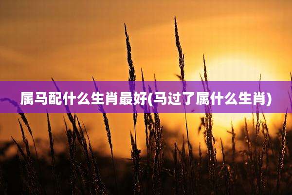 属马配什么生肖最好(马过了属什么生肖)