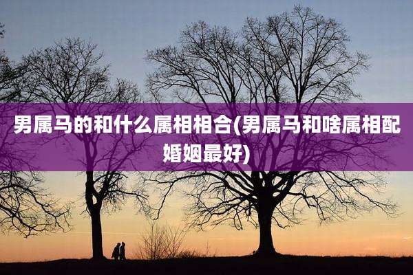 男属马的和什么属相相合(男属马和啥属相配婚姻最好)