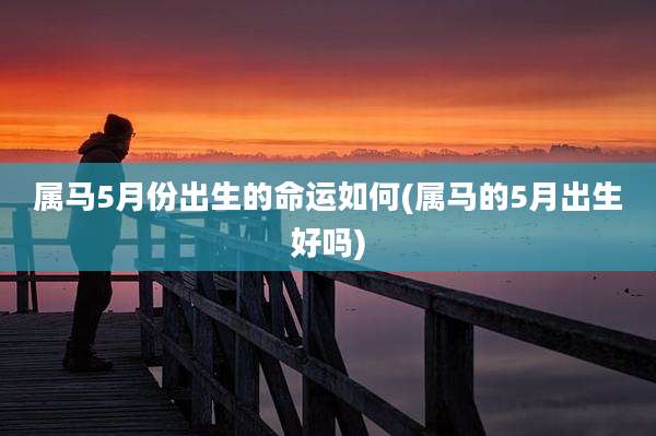 属马5月份出生的命运如何(属马的5月出生好吗)