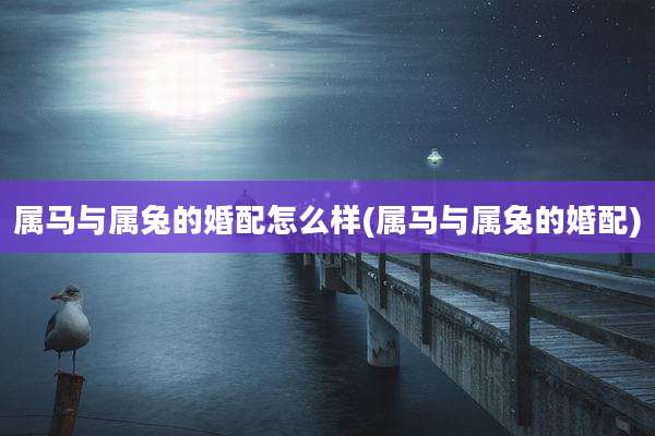 属马与属兔的婚配怎么样(属马与属兔的婚配)