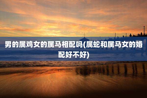 男的属鸡女的属马相配吗(属蛇和属马女的婚配好不好)