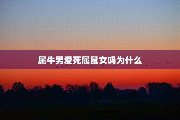 属牛男爱死属鼠女吗为什么