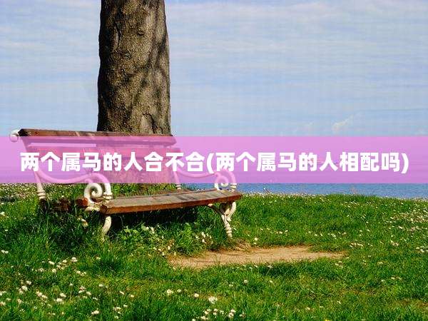 两个属马的人合不合(两个属马的人相配吗)