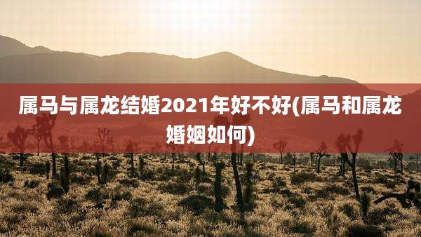 属马与属龙结婚2021年好不好(属马和属龙婚姻如何)