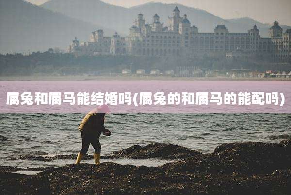 属兔和属马能结婚吗(属兔的和属马的能配吗)