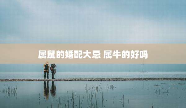 属鼠的婚配大忌 属牛的好吗