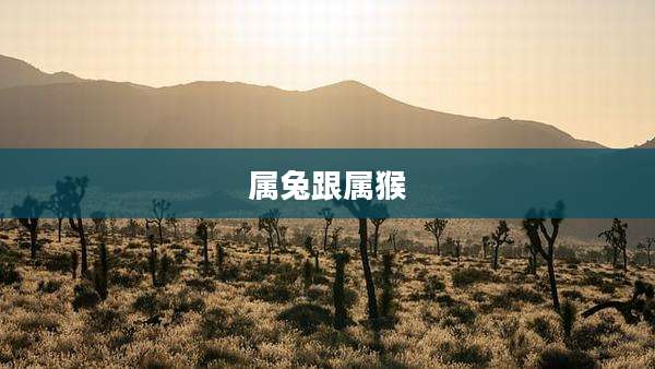属兔跟属猴