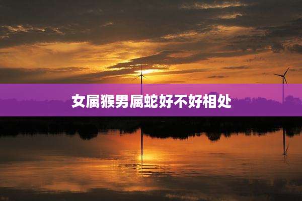 女属猴男属蛇好不好相处