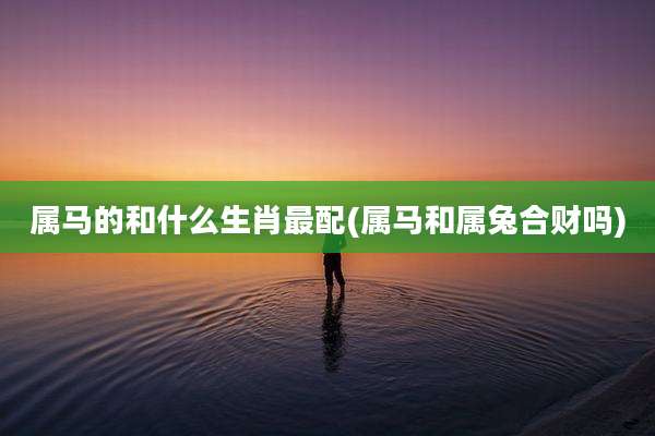 属马的和什么生肖最配(属马和属兔合财吗)
