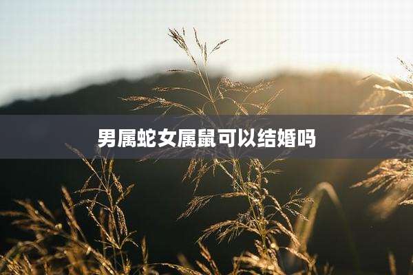 男属蛇女属鼠可以结婚吗