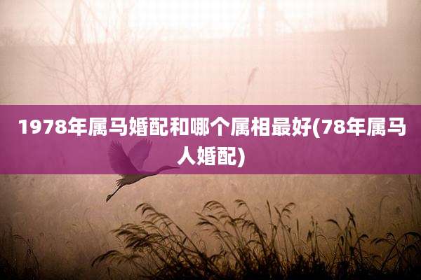1978年属马婚配和哪个属相最好(78年属马人婚配)