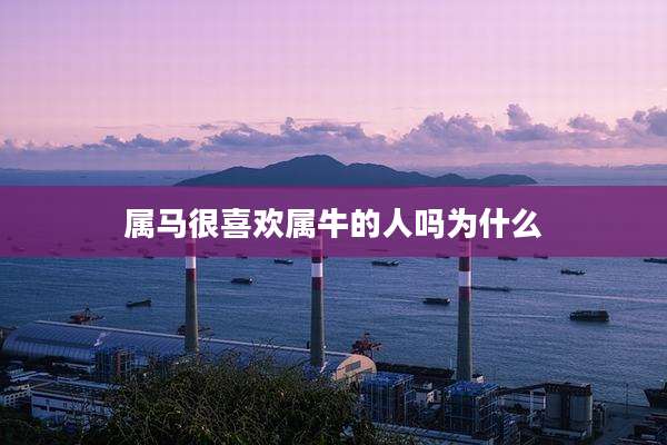 属马很喜欢属牛的人吗为什么