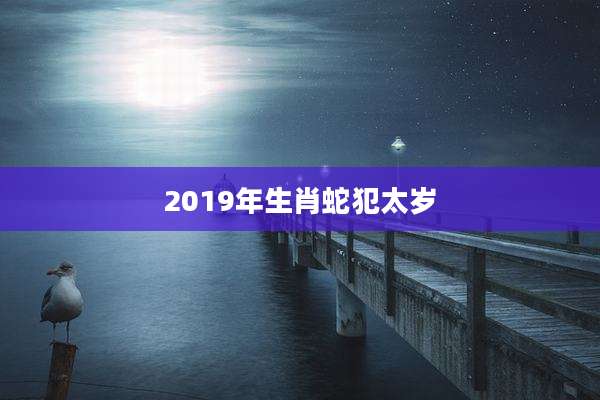 2019年生肖蛇犯太岁