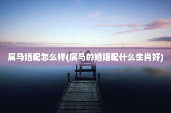 属马婚配怎么样(属马的婚姻配什么生肖好)