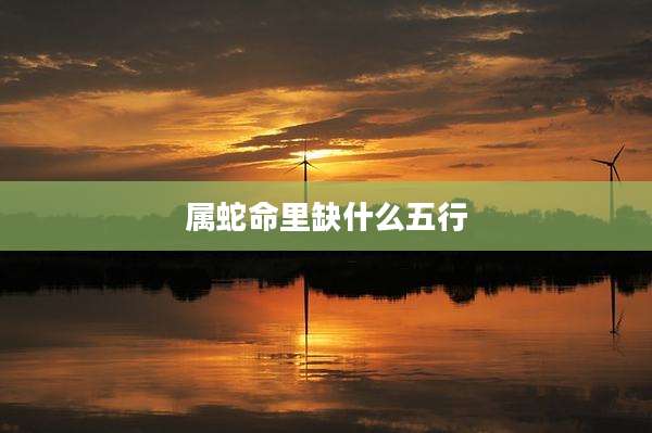 属蛇命里缺什么五行