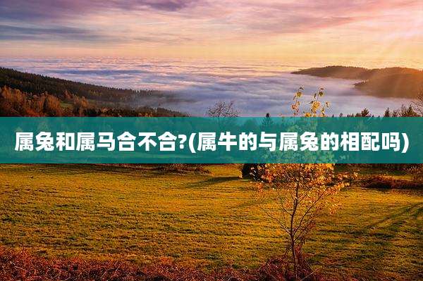 属兔和属马合不合?(属牛的与属兔的相配吗)