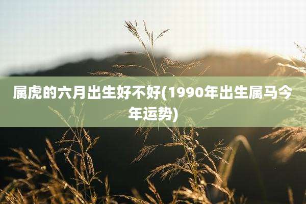 属虎的六月出生好不好(1990年出生属马今年运势)